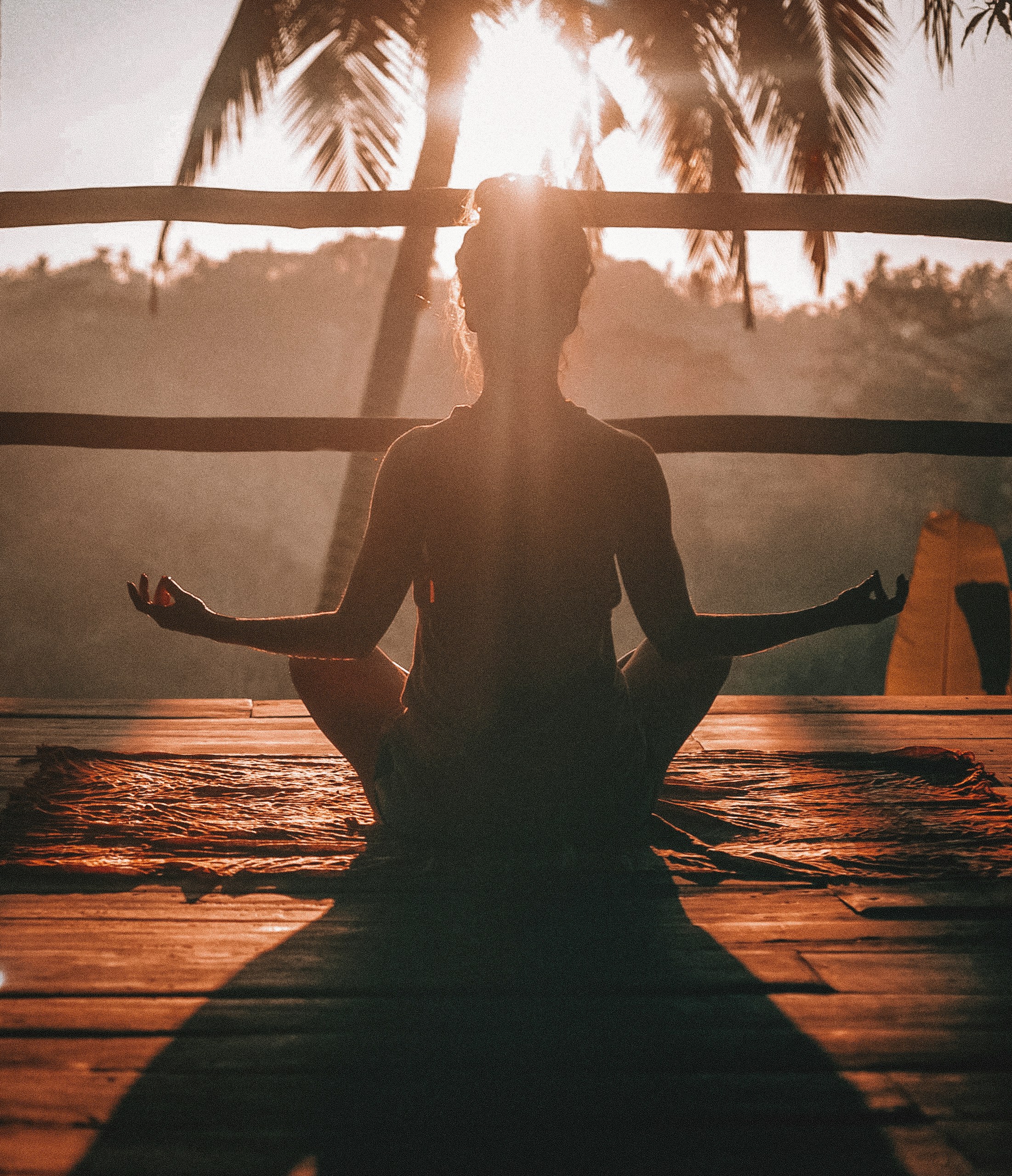 The Science of Nutrition: How Food Affects Your Mood and Energy Levels
